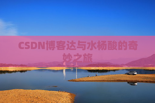 CSDN博客达与水杨酸的奇妙之旅